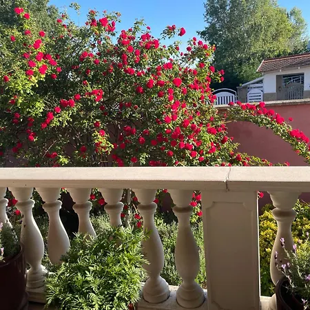 بيت ضيافة Meszko Park House *