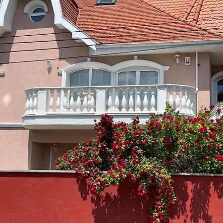 Meszko Park House *